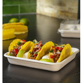 Embalagem para Tacos de Cana de Açúcar Branco 18,5x18,5cm (50 Uds)