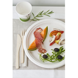 Prato Bio da cana-de-açúcar Branco Ø260mm (50 Uds)