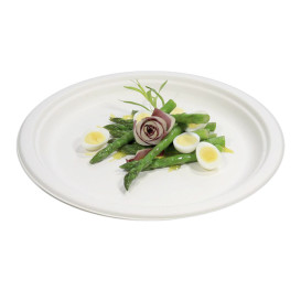 Prato Bio da cana-de-açúcar Branco Ø260mm (250 Uds)
