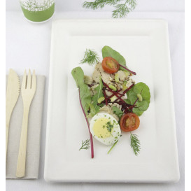 Bandeja Bio da cana-de-açúcar Branco 200x280mm (320 Uds)