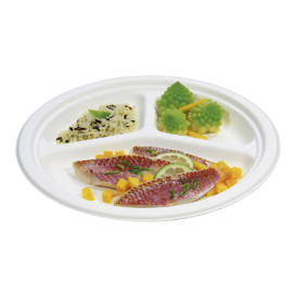 Prato Cana-de-açúcar Bagaço 3C Branco Ø25,3 cm (500 Uds)