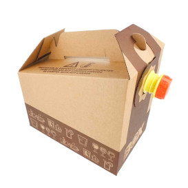 Garrafa Termica Descartável de Cartâo 3000 ml (25 Uds)