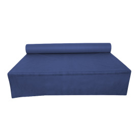 Toalha em Rolo Não Tecido Azul 1,2x50m 55g (1 Ud)
