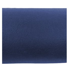 Toalha em Rolo Não Tecido Azul 1,2x50m 55g (6 Uds)