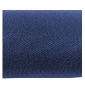 Toalha em Rolo Não Tecido Azul 1,2x50m 55g (1 Ud)