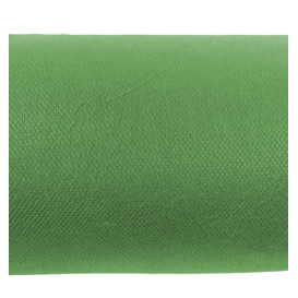 Toalha em Rolo Não Tecido Pistache 1,2x50m 50g (1 Ud)