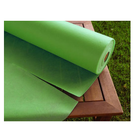 Toalha em Rolo Não Tecido Pistache 1,2x50m 50g (1 Ud)