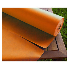 Toalha em Rolo Não Tecido Laranja 1,2x50m 50g (6 Uds)