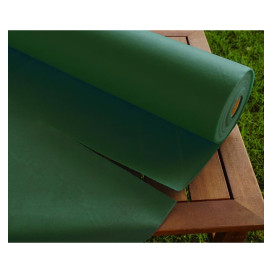 Toalha em Rolo Não Tecido Verde 1,2x50m 50g (6 Uds)