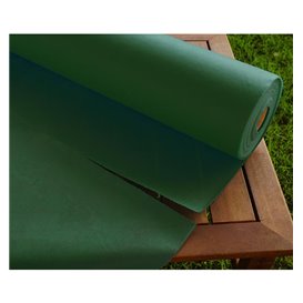 Toalha em Rolo Não Tecido Verde 1,2x50m 50g (1 Ud)