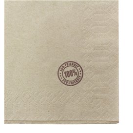 Guardanapos Eco "Recycled" 33x33cm 1 Folha (100 Uds)