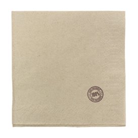 Guardanapos Eco "Recycled" 33x33cm 1 Folha (100 Uds)