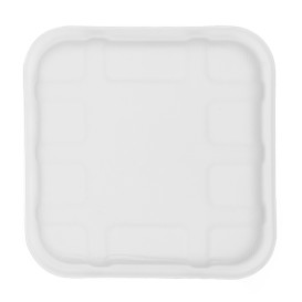 Tabuleiro de Cana de Açúcar 14,1x14,1cm (50 Uds)
