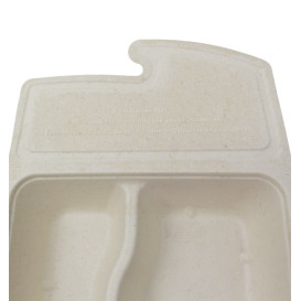 Embalagem Box to Go Cana-de-Açúcar 2C 21x15x5cm 800ml (50 Uds)