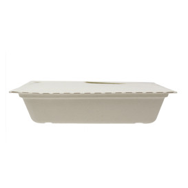 Embalagem Box to Go Cana-de-Açúcar 21x21x4cm 1350ml (50 Uds)