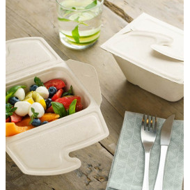 Embalagem Box to Go Cana-de-Açúcar 13x13x7cm 500ml. (50 Uds)