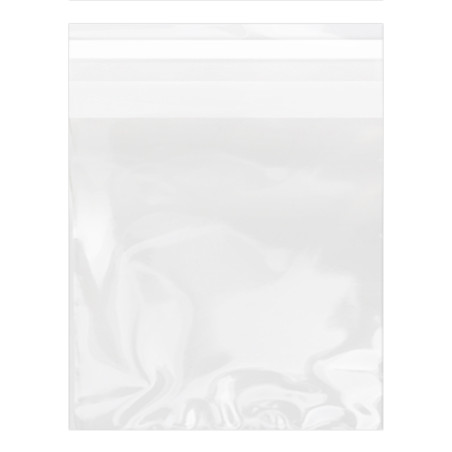 Saco PP Biorientado Dobra Adesivo 14x14cm G160 (100 Uds)