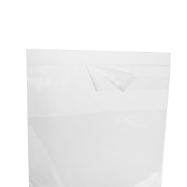Saco PP Biorientado Dobra Adesivo 10x15cm G160 (1000 Uds)