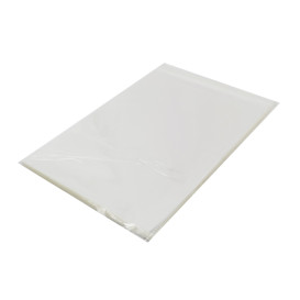Saco PP Biorientado Dobra Adesivo 25x35cm G160 (100 Uds)