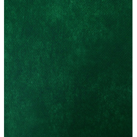 Toalhete Não Tecido Verde 35x50cm 50g (500 Uds)