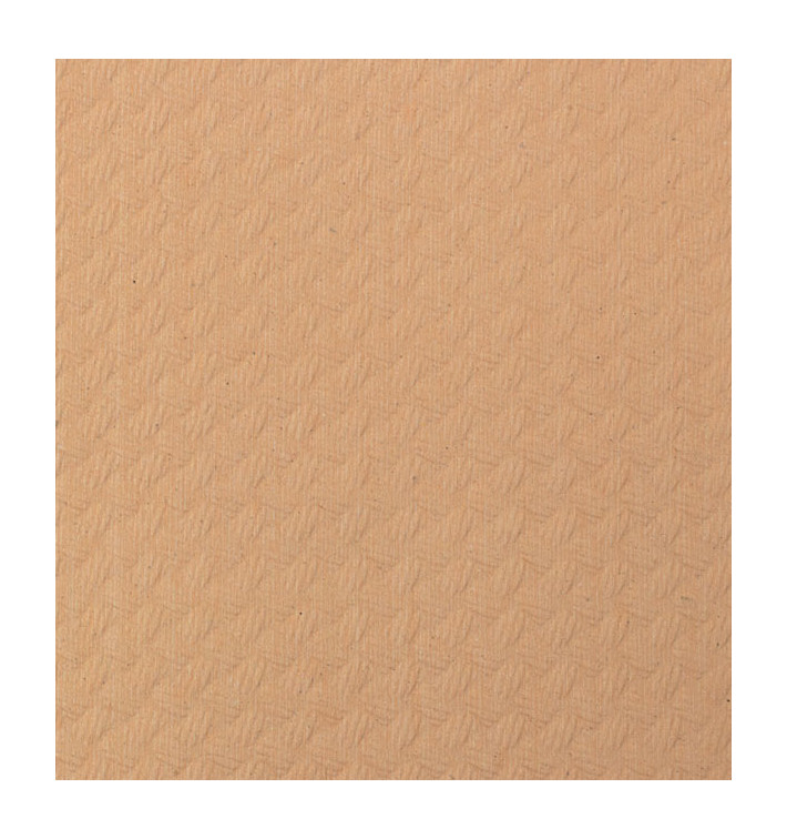 Toalha Papel Rolo Mesa Salmão 1x100m 40g (1 Ud) Toalha Papel Rolo Mesa Salmão 1x100m 40g (1 Ud)