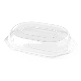 Tampa Plastico Bandeja 36x24x5 cm (50 Uds)