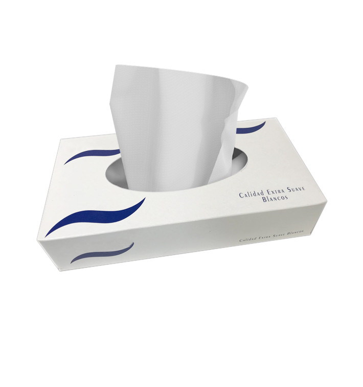 Tecido Facial Tissue Folha Dupla de 100 Uds (1 Caso) Tecido Facial Tissue Folha Dupla de 100 Uds (1 Caso)
