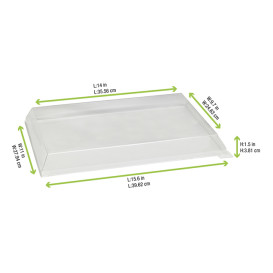 Tampa Plastico PET Transparente 38x27,4cm (50 Uds)