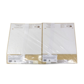 Embalagem de Cartão Quadrado PackiPack Vision Kraft 24x24x6cm (50 Uds)