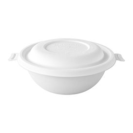 Guardanapos Papel Ponta Ponta Pistache 25x25cm (100 Uds)