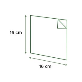 Saqueta Antigordura Aberta 2L Prata 16x16cm (500  Uds)