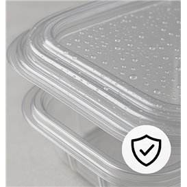 Embalagem Plastico Quadrado Tampa Bisagra PET 250ml (100 Uds)