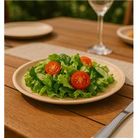 Prato de folha de palmeira Ø25cm (25 Uds)